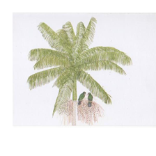 Logo Doce com Raízes